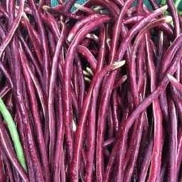 Kacang Panjang Ungu / 250 gr