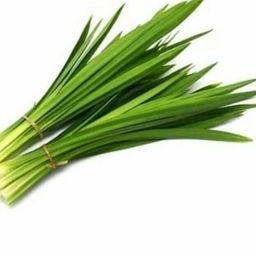 Pandan / 100 gr