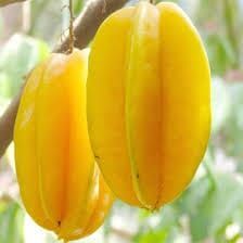 Belimbing Madu / 500 gr