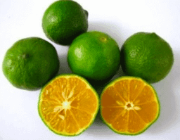 Jeruk Peras / 500 gr