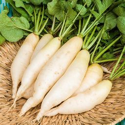 Radish / 500 gr