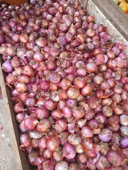 Onions வெங்காயம்