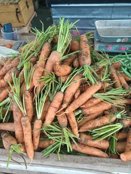 Carrots கேரட்