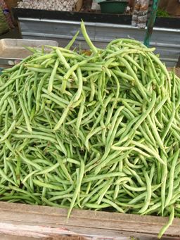 Green beans போஞ்சி