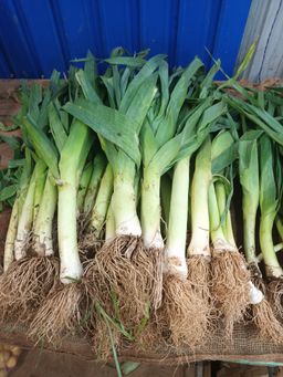 Leeks லீக்ஸ்