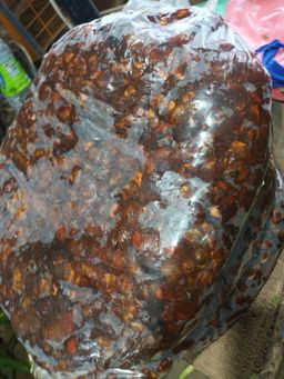 Tamarind புளி