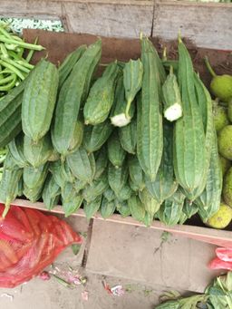 Ridge gourd பீர்க்கங்காய்
