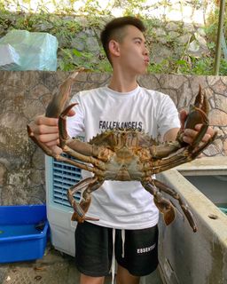 巨大肉蟹 GAINT BIG CRAB Pre-Order