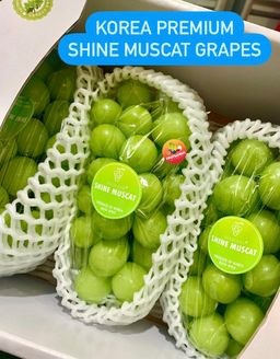 KOREA PREMIUM SHINE MUSCAT GRAPES
