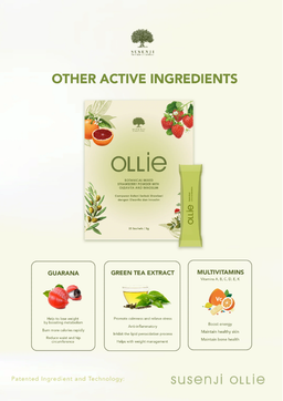 Susenji Ollie/Shake/MOFA+/Depuff/Sculpt