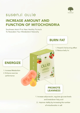 Susenji Ollie/Shake/MOFA+/Depuff/Sculpt