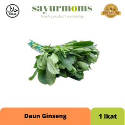 Daun Gingseng 1 ikat