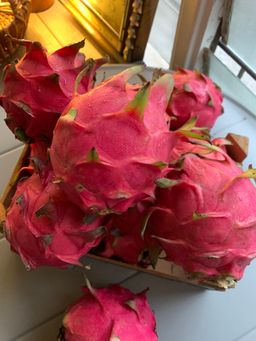 Red Dragon Fruit