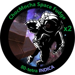 ChocMocha Space Fudge x2
