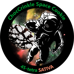 ChocCrinkle Space Cookie 