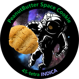 PeanutButter Space Cookie 
