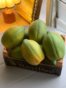 Solo Papaya