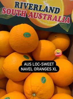 AUS NAVEL ORANGES XL