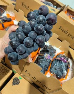巨峰葡萄 Kyoho Grape 2.5kg