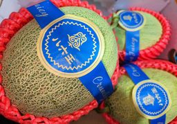 八六王哈密瓜 HAMI MELON 