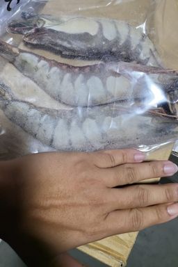 Jumbo Tiger Prawn Hoso 6/8