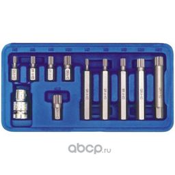 VOREL SCREWDRIVER BIT SET SPLINE M5 - M12 11PCS