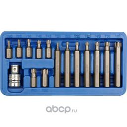 VOREL SCREWDRIVER BIT SET TORX T20 - T55 15PCS