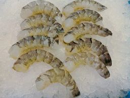 活虎虾肉 Live Tiger Prawn Meat