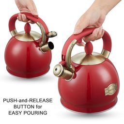  Zanglamaydigan po'latdan yasalgan choynak, (Hushtak chaladigan )