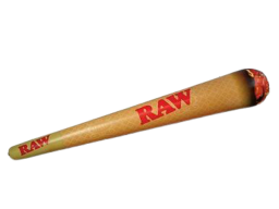 RAW Inflatable Cone