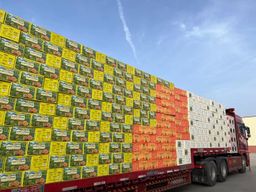 新疆纸皮烤核桃 Xin Jiang Thin Shell Roasted Walnut