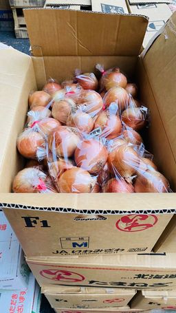 北海道洋葱🧅 17kg 3玉*20  Hokkaido Onion 🧅 17kg 3pcs*20 #
