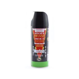 Mortein Fast Kill 250Ml