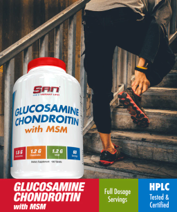 SAN GLUCOSAMINE CHONDROITIN WITH MSM 90 TABLETS