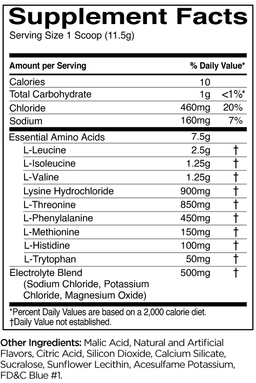 R1 ESSENTIAL AMINO 9 FRUIT PUNCH 30 SERV