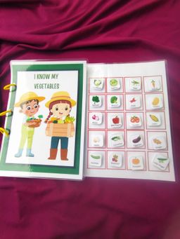 ''I know My Vegetables'' Busy Book