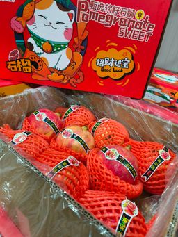 pomegranate 突尼斯软籽石榴