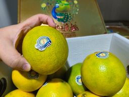 Rock Sugar Orange 云南冰糖橙