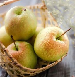 Bergamot Pear 玉露香梨