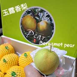 Bergamot Pear 玉露香梨