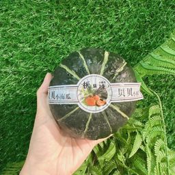 Baby Pumpkin 6pcs贝贝南瓜6粒