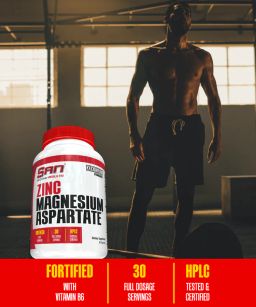 SAN ZMA ZINC MAGNESIUM  ASPARTATE 90 CAPS