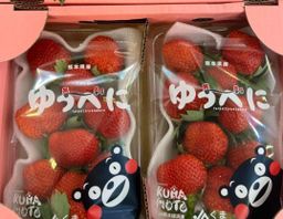 Kumamoto Yubeni/ Koi Minori Strawberry🍓 0.5kg 250g*2