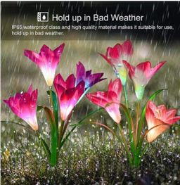 Outdoor Solar Garden Light