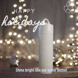 Iconic Singapore Water Bottle 0.5L