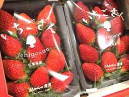 JPN SAGA ICHIGO-SAN STRAWBERRY