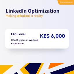LinkedIn Optimization :: Mid-Level (11-15 years of working experience)