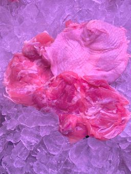 Kampung Chicken Thigh Boneless 甘榜鸡腿起骨