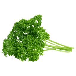 Parsley