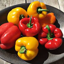 Yellow/Red Pepper